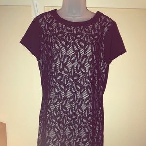 WHBM black lace and cream dress. Size 12